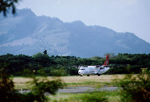 ttt6.JPG (41117 bytes)